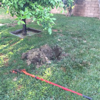The Sprinkler Repair Company 38 Photos 61 Reviews Irrigation Photo Of The Sprinkler Repair Company Chino Ca United States Hole
