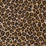 Carpet Fair Carpeting 246 White St Danbury Ct Phone Number Kaoud Carpets And Rugs