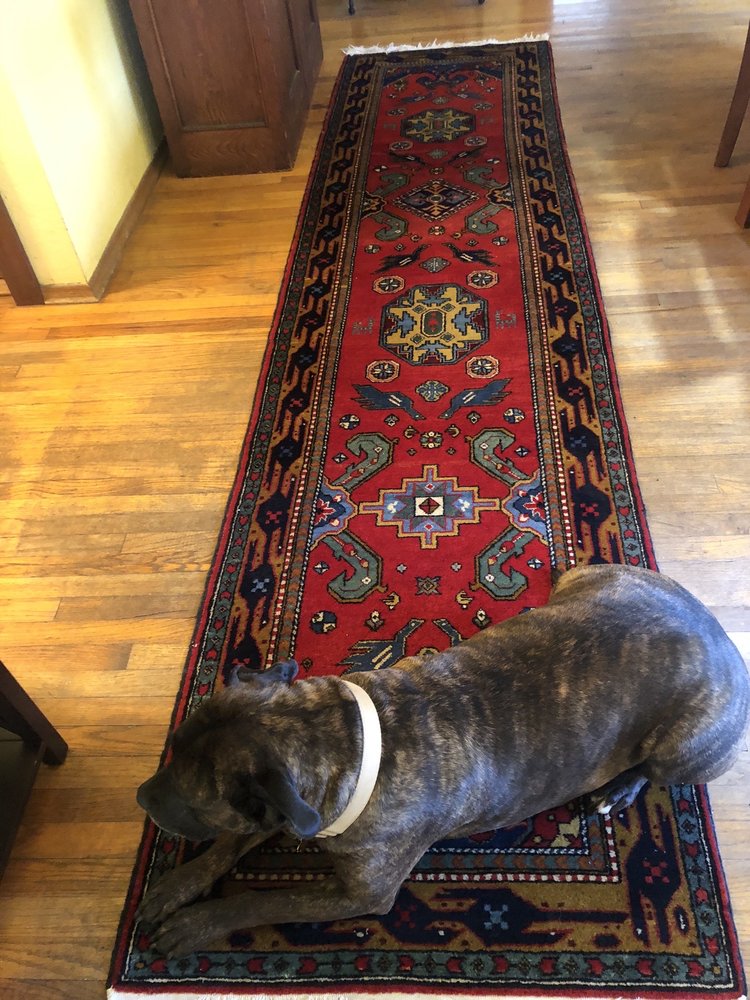 Aptos Carpet & Upholstery Cleaning