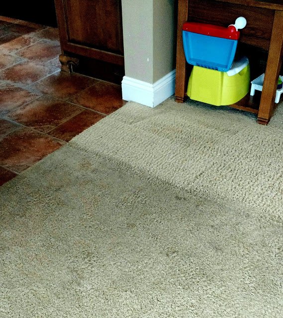 Steam Jet Carpet Care