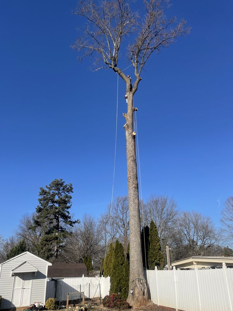 Wiley’s Landscaping & Tree Service