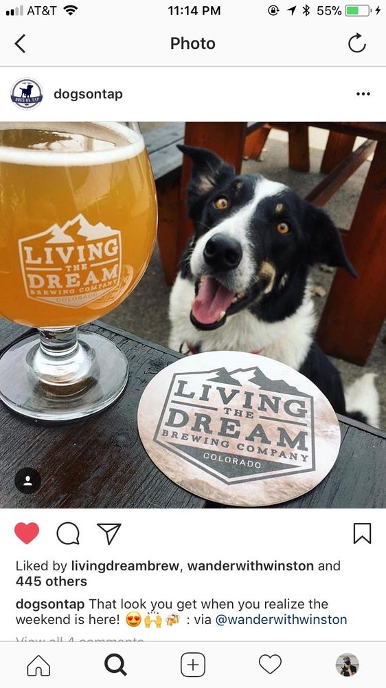 Living The Dream Brewing