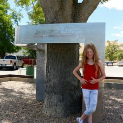 james dean crash site memorial 58 photos 23 reviews local james deen flower size