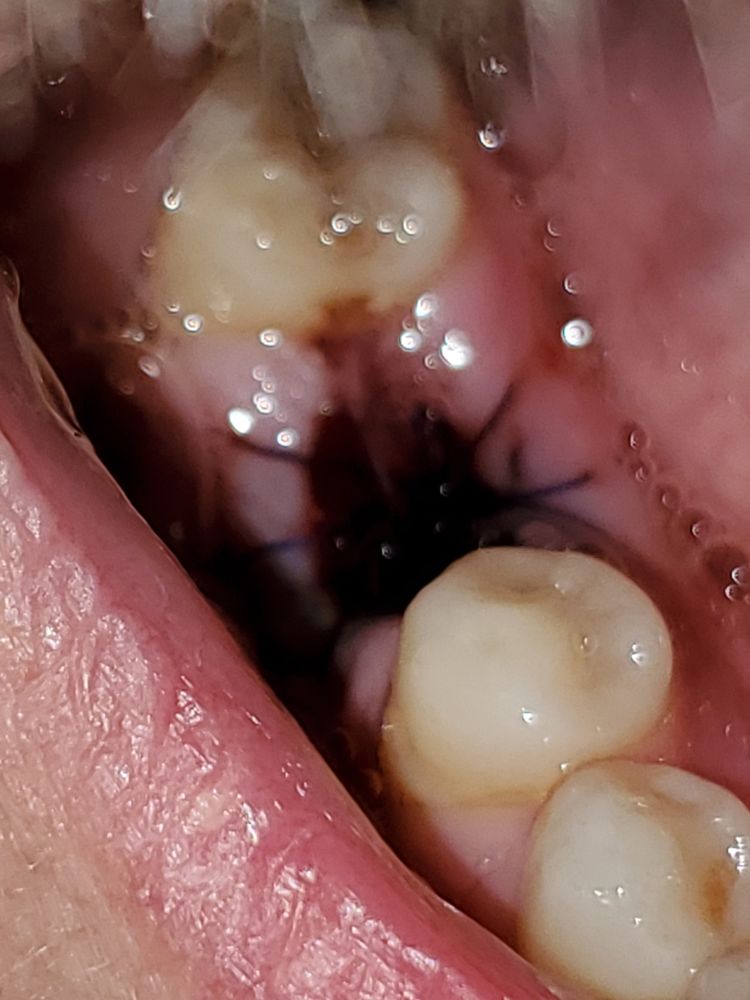 image of business Kickingbird Dental Center