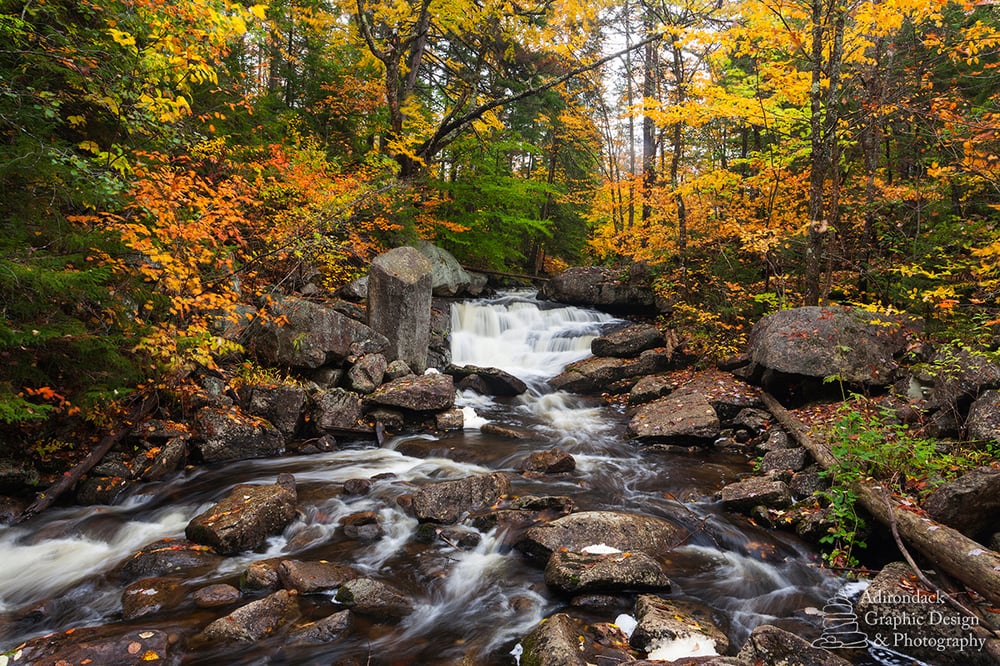 Adirondack Graphic Design & Photography
