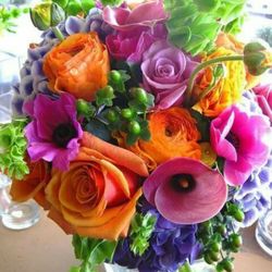 penguin flowers 15 photos florists 2465 nw monroe ave