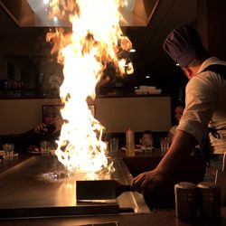 jenpachi japanese steak house coupons