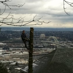 Tree Services In Oregon City Yelp Joe Grab Landscape Tree Service