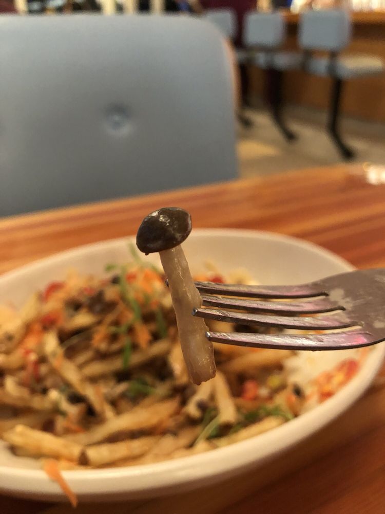 Welcome Diner Welcome Diner