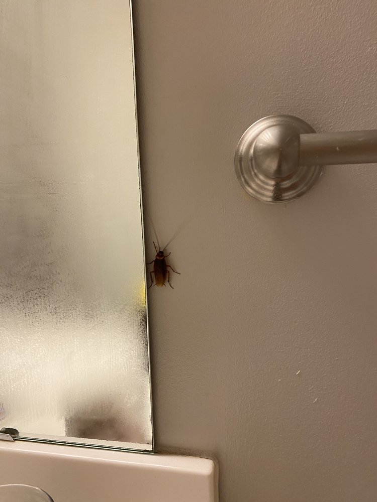 Alpha Mill Apartments