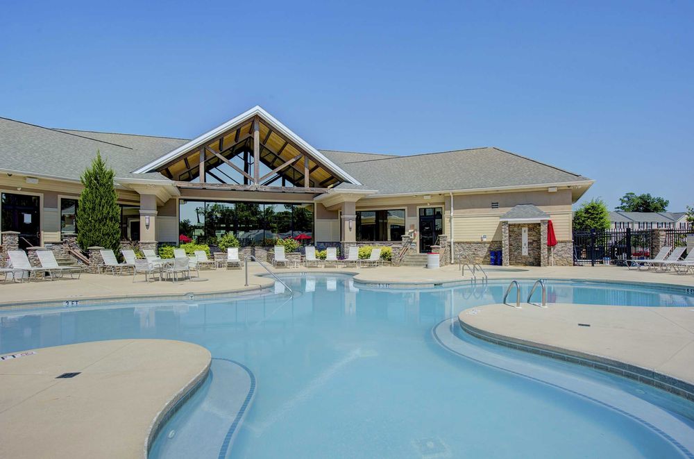 Copper Beech at Greenville