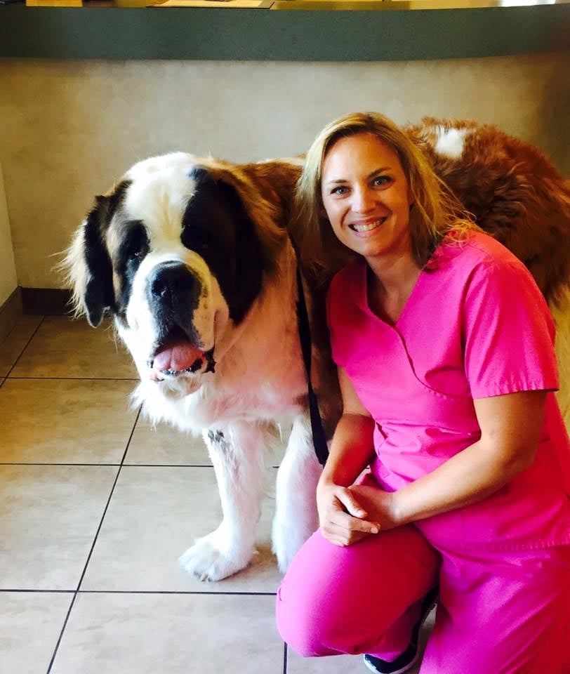 Fairfield Veterinary Hospital 33 Photos & 13 Reviews Veterinarians