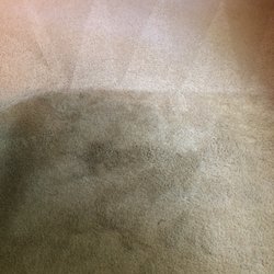 Steve S Carpet Clean Rx Request A Quote Cleaning 6209 Photo Of Steve S Carpet Clean Rx Kenosha Wi United States Difference When