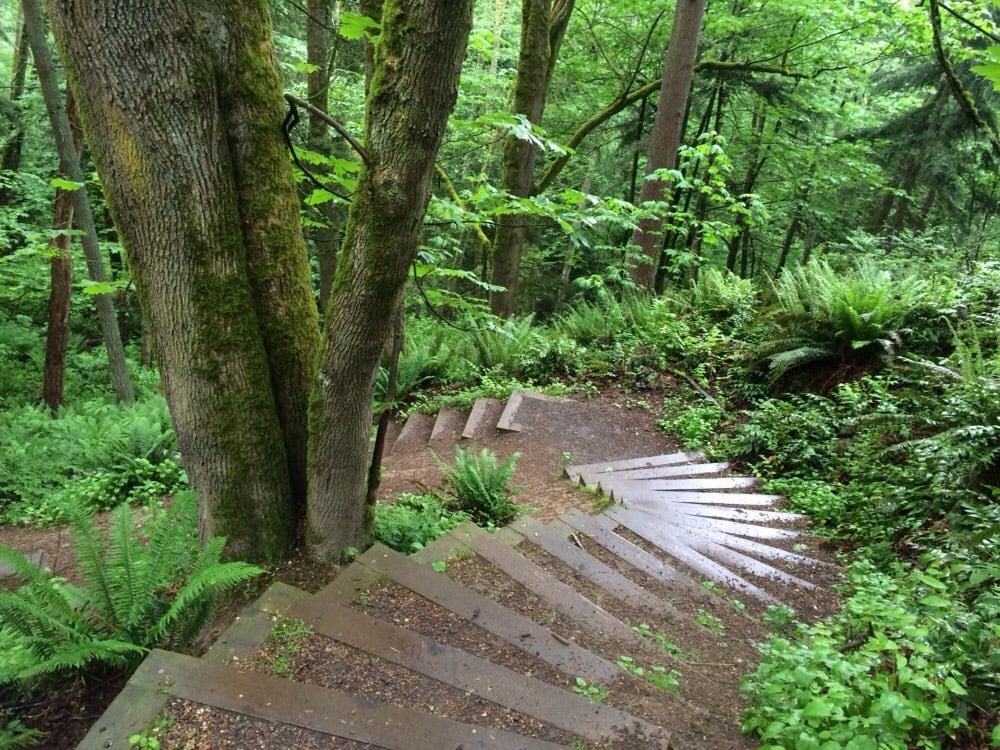 Big Gulch Trail 15 Photos Hiking Mukilteo, WA Yelp