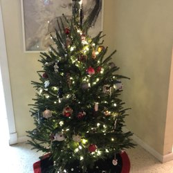 Photo Of O Christmas Tree Photo Of O Christmas Tree