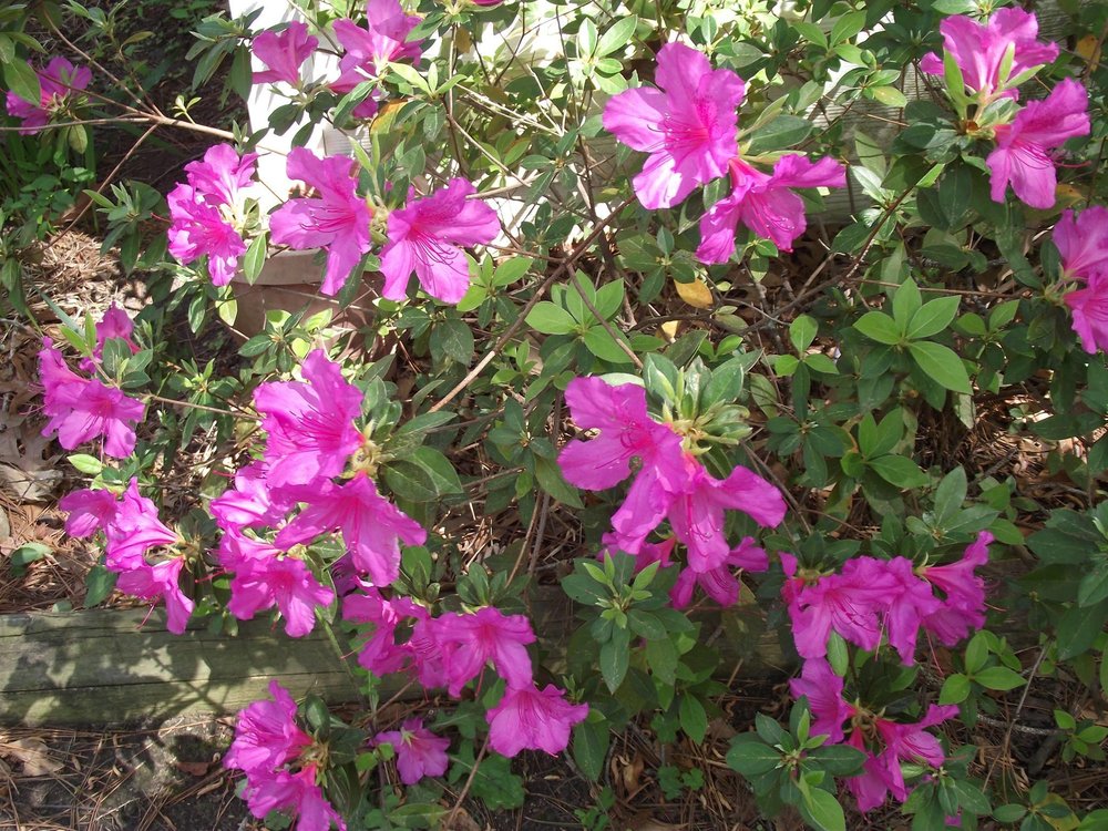 image of business Morris Air Conditioning & Heating