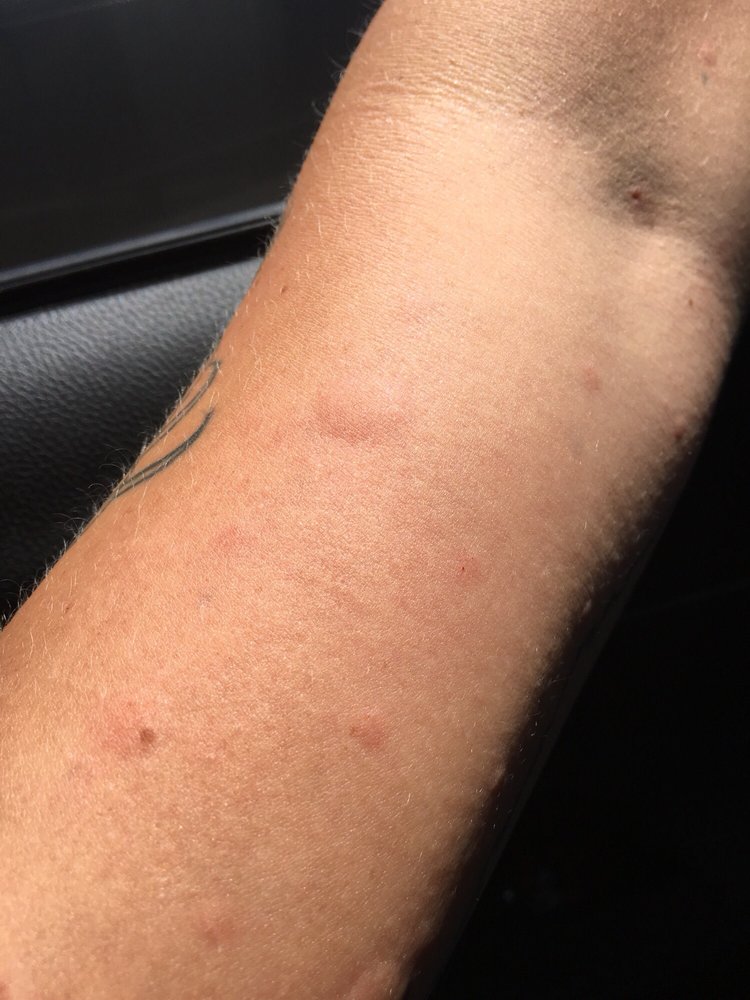 image of business South Shore Allergy & Asthma Specialists PC