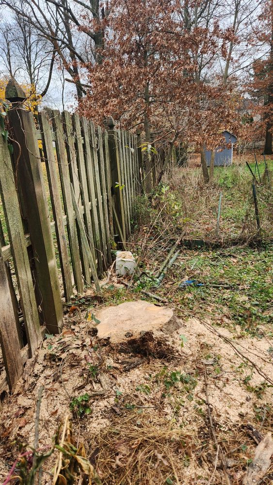 RLW Tree Service