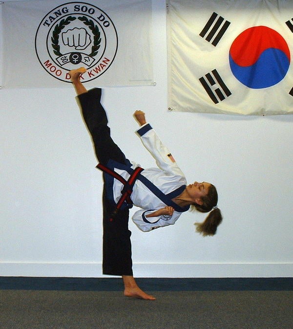 Tang Soo Do Karate Martial Arts 5998 Steubenville Pike, Robinson