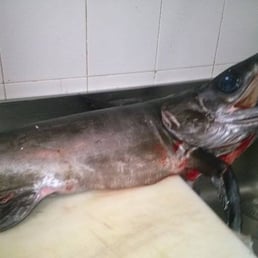 Togliere posti di pigmentary per mezzo di perossido di idrogeno