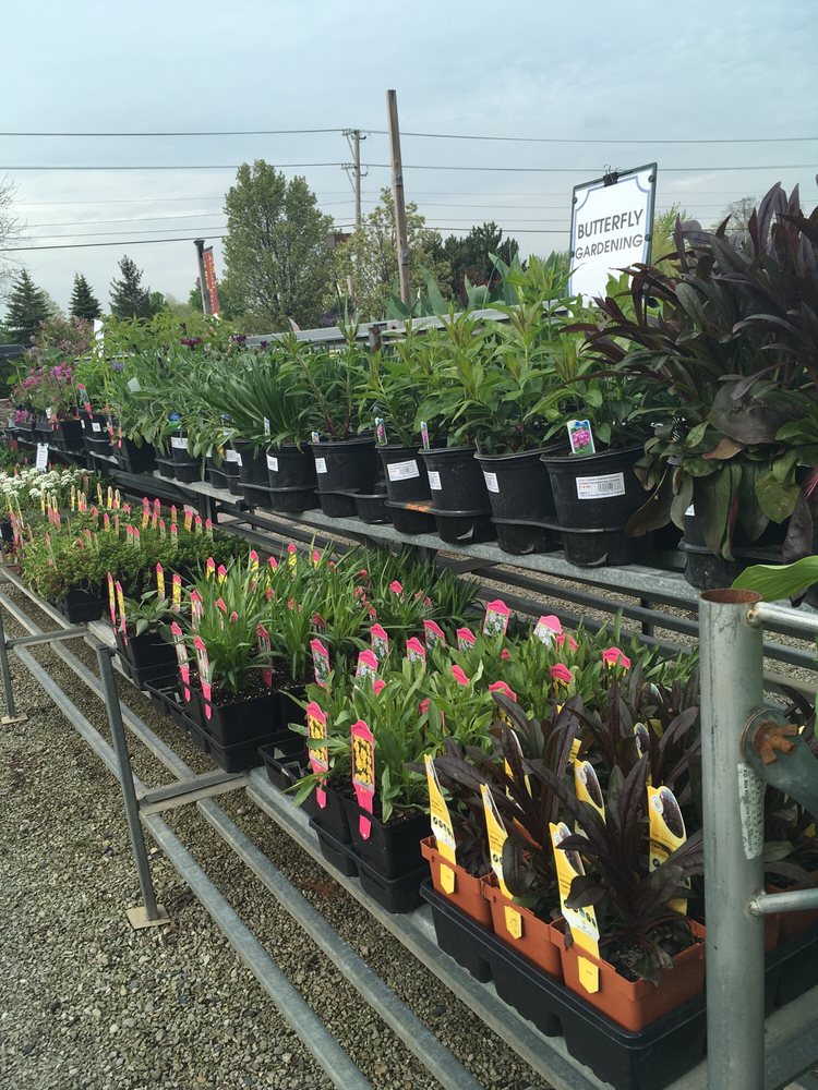 Hawthorn Gardens 16 Photos Nurseries & Gardening 24481 N Old