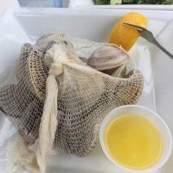 Pelican S Nest Restaurant 43 Photos 92 Reviews Seafood 566 Photo Of Pelican S Nest Restaurant Rochester Ny United States