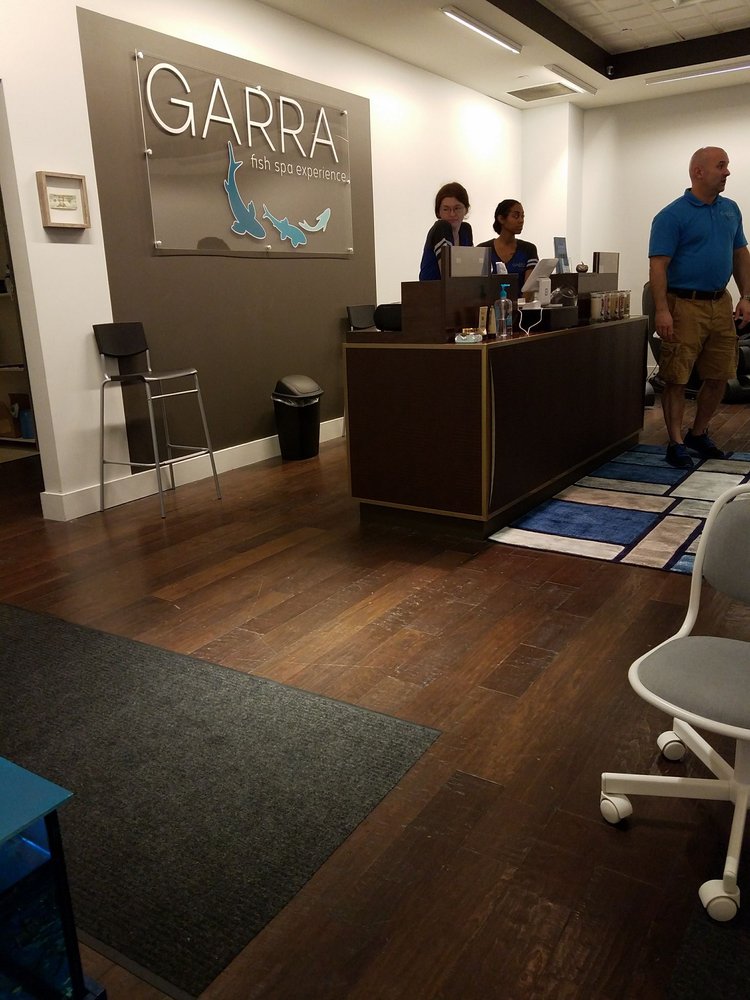Garra Fish Spa 10 Photos Day Spas 27001 Us Hwy 19 N Garra Fish