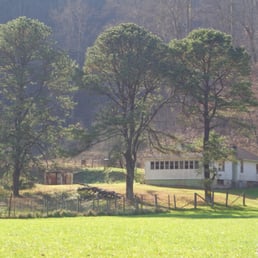 Tree Service Evansville  Photo of Lewis Tree Service - Evansville, IN, United States. Our Customer Wanted