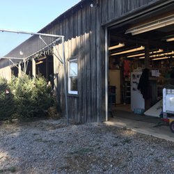 photo of country cove christmas tree farm murfreesboro tn united states - Country Cove Christmas Tree Farm photo of country cove christmas tree farm murfreesboro tn united states - Country Cove Christmas Tree Farm