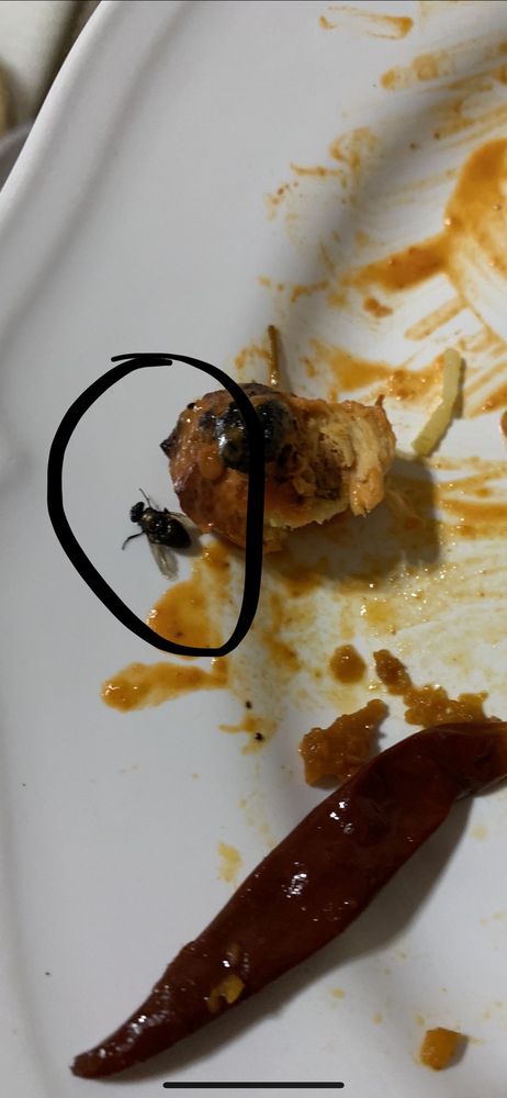 Biryani