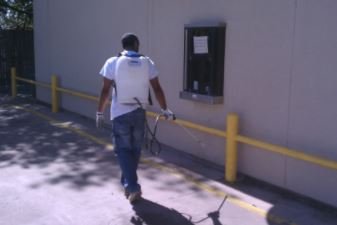Ryno Pest Control