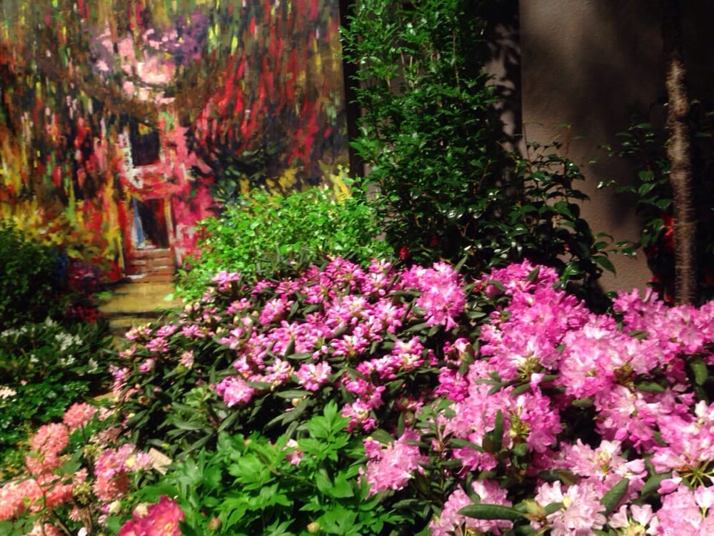 Macy S Flower Show Closed Local Flavor 700 On The Mall