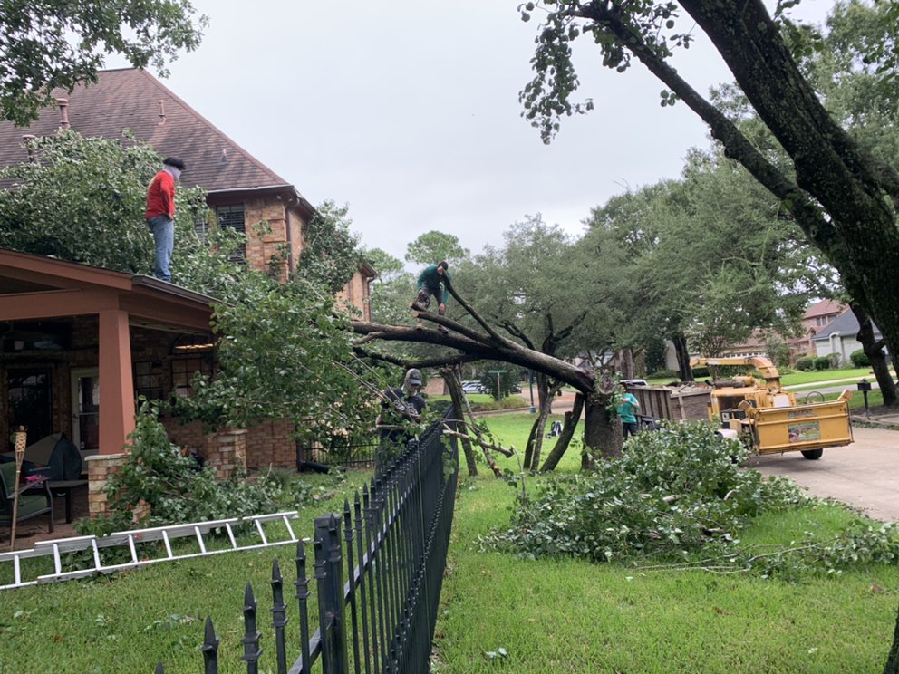 Garrett Tree Services