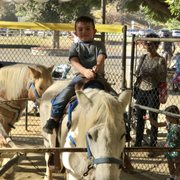 Video Eden Park ist Ponys — 14
