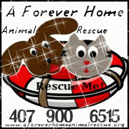 Animal Rescue