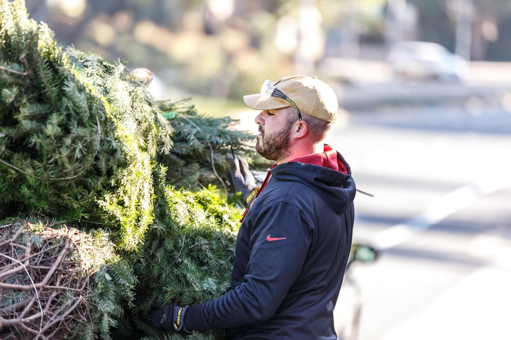 Rudy's Christmas Trees