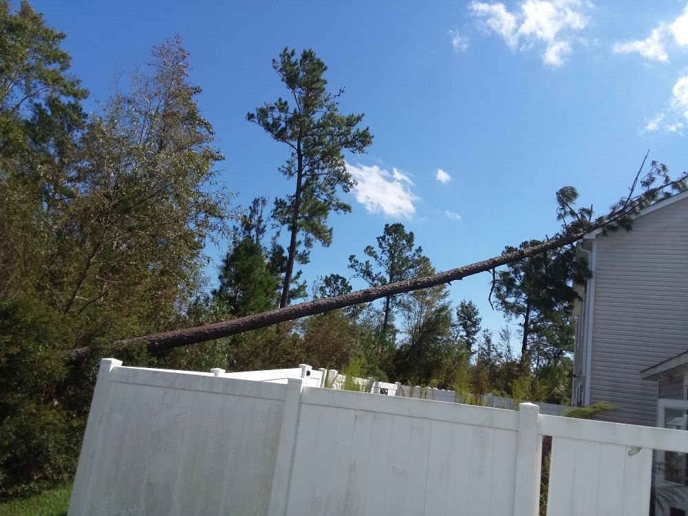 Lacey & Lacey Services