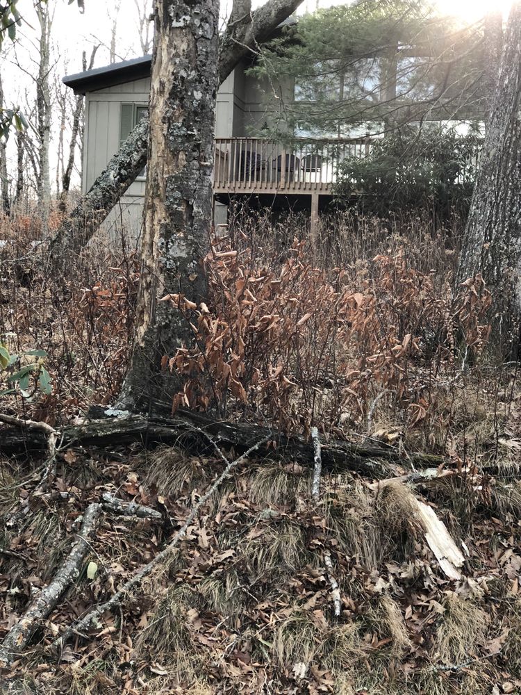 Boone High Country Rentals