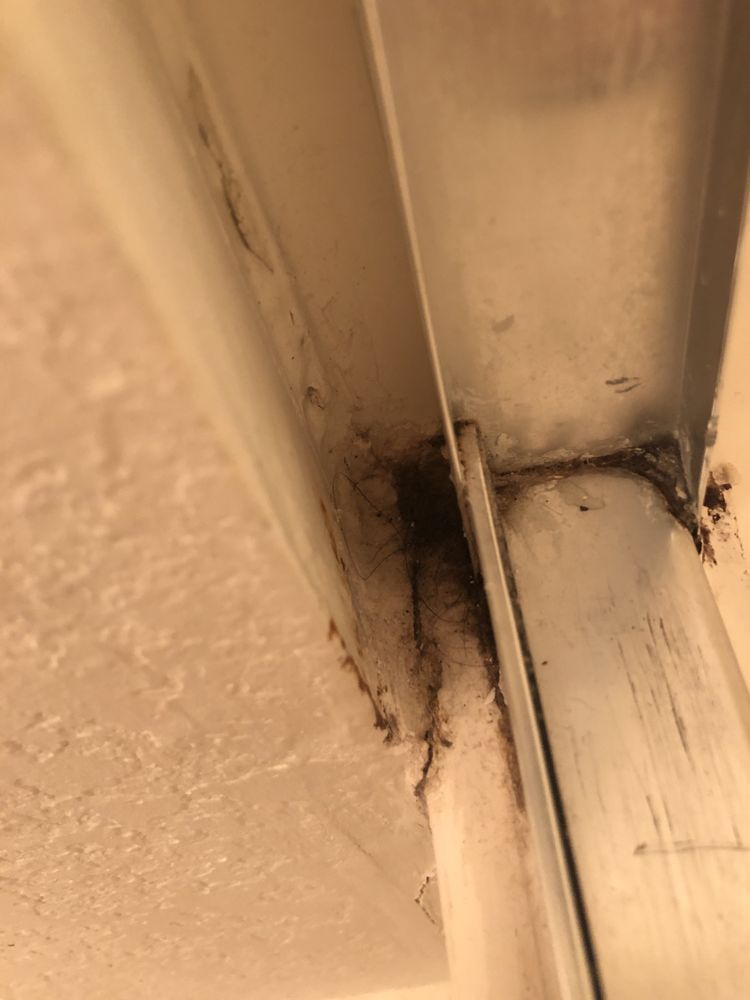 Corolla Classic Vacations