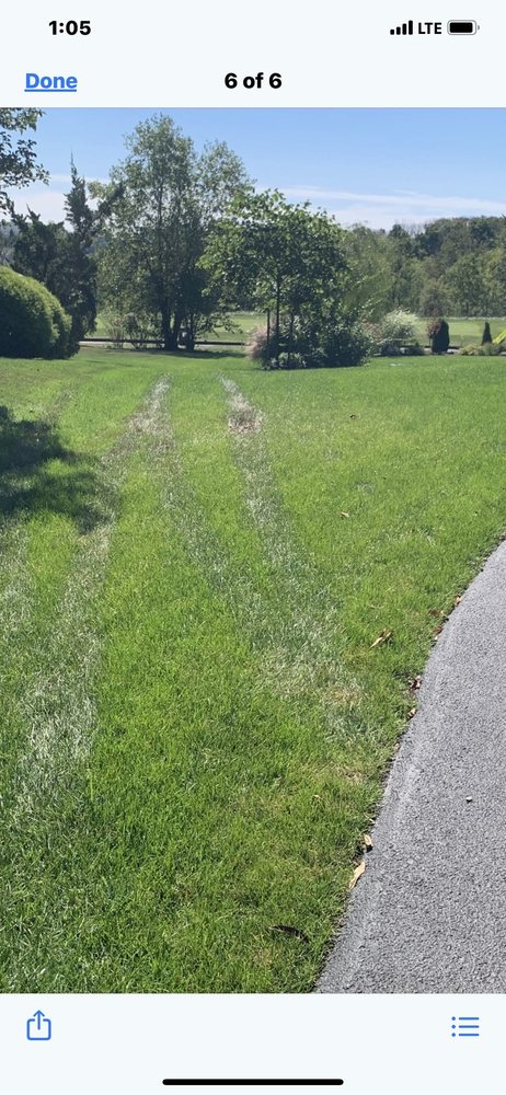 Wetter Landscaping