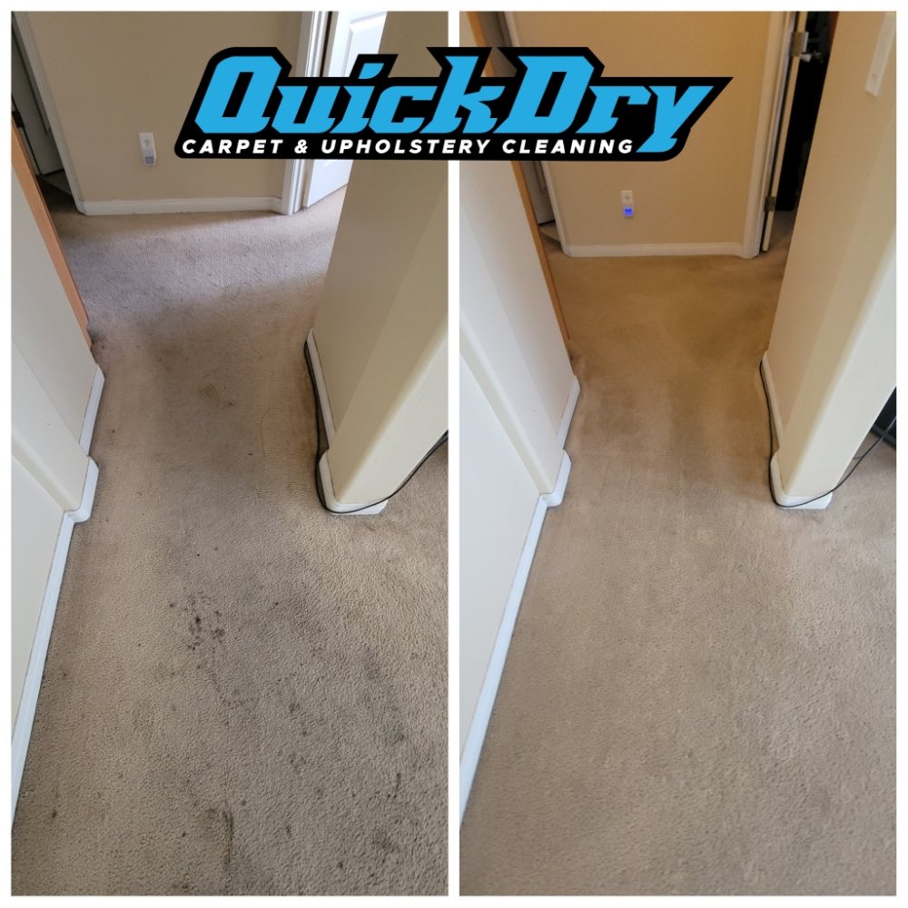 QuickDry Carpet & Upholstery Cleaning