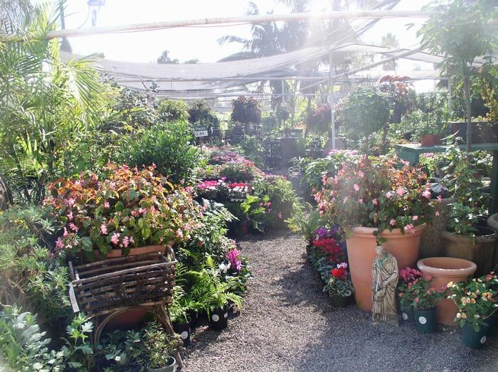 Photos For Andersons La Costa Nursery Yelp 82 Photos For Andersons La Costa Nursery