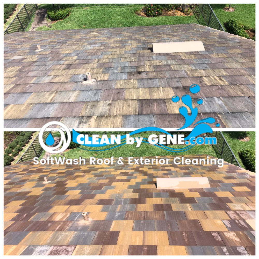 Clean by Gene