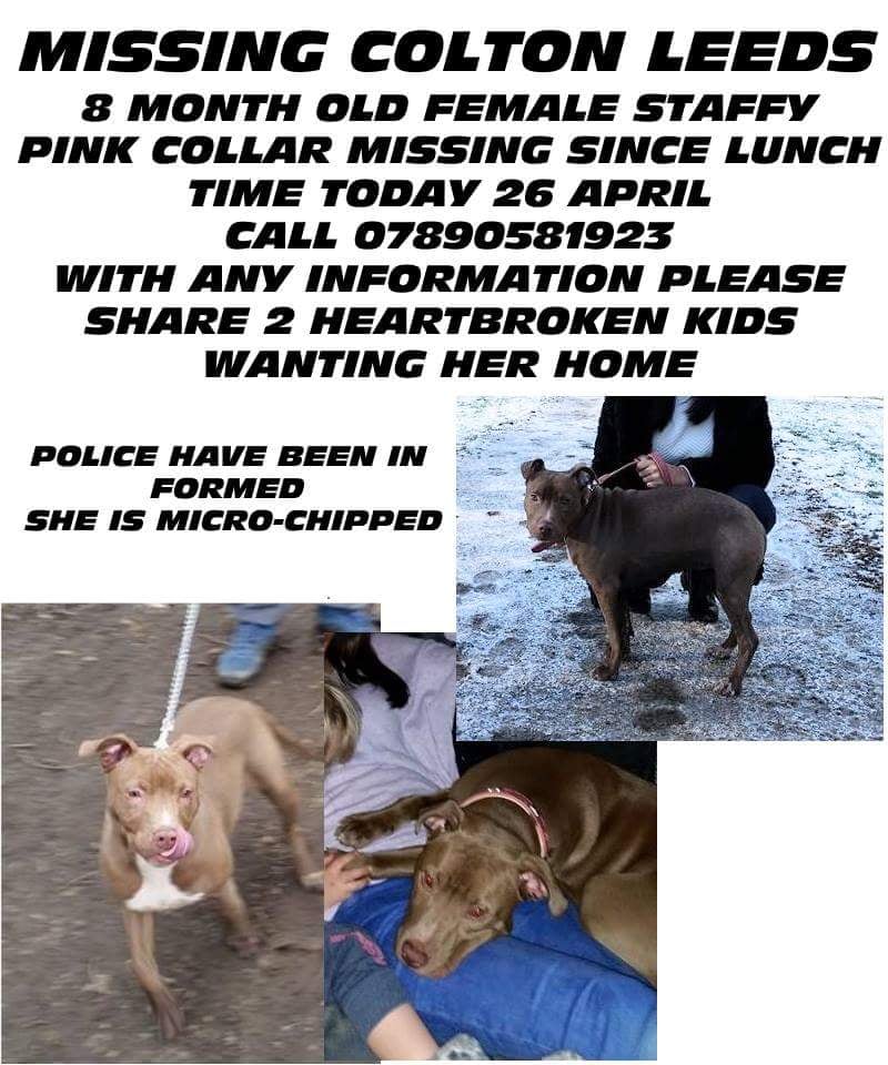 FlushDyke Kennels 19 Photos Animal Shelters Wakefield Road, Ossett, West Yorkshire, United