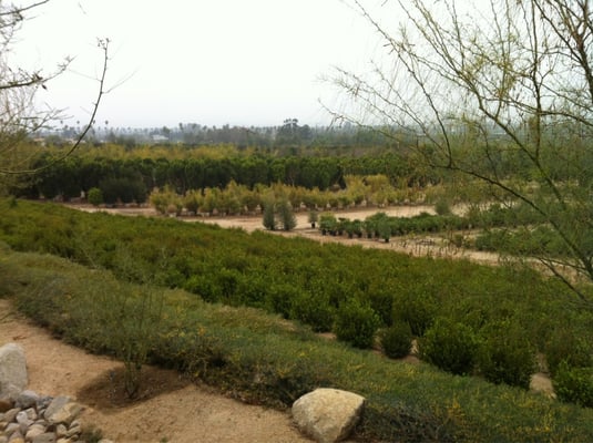 Growest Nurseries Gardening 1700 Ave Photo Of Growest Nurseries Riverside Ca United States