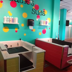 Hot Diggity Dog Daycare Las Vegas Nv Hot Diggity Dog Daycare Las Vegas Nv