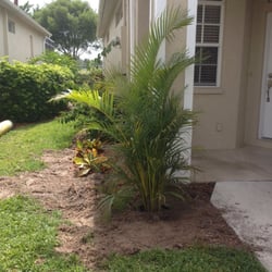 Golden Gate Nursery Sod 12 Reviews Nurseries Gardening Photo Of Golden Gate Nursery Sod Naples Fl United States