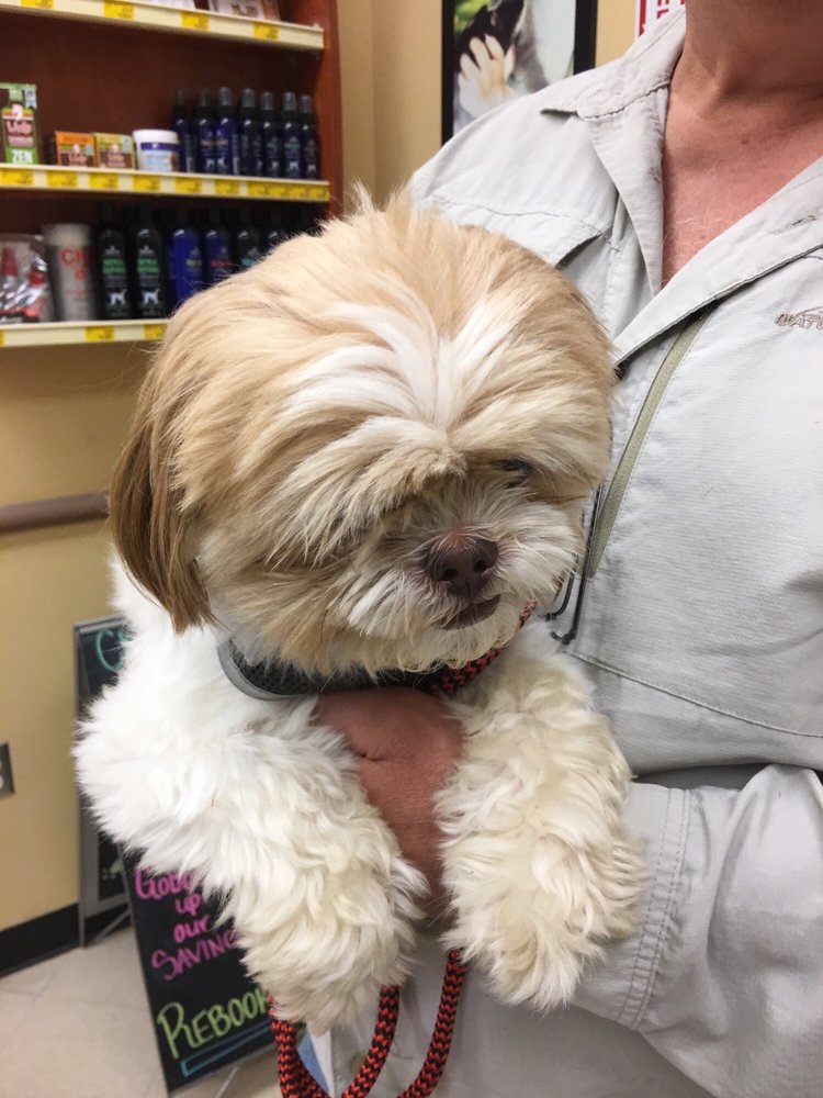 PetSmart Pet Stores 70 Oxford Exchange Blvd, Oxford, AL Phone