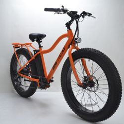 big cat electric bicycles