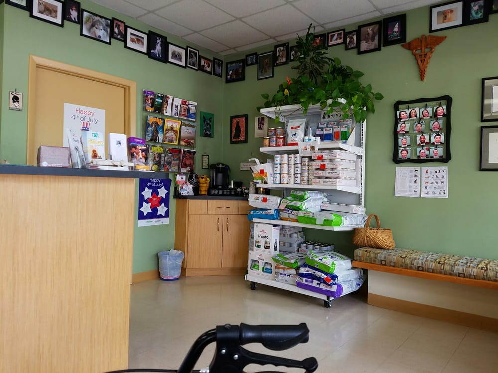 Plantation Animal Hospital of Tampa 23 Reviews Veterinarians 4585